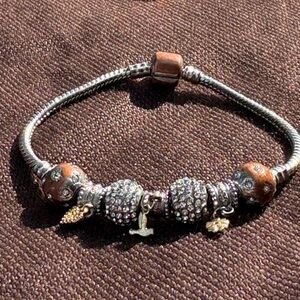 Unknown brand. Beautiful silver and Bronze Charm Bracelet.